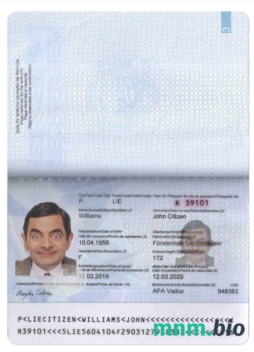 Przykład paszportu Liechtensteinu w formacie PSD, w pełni edytowalny